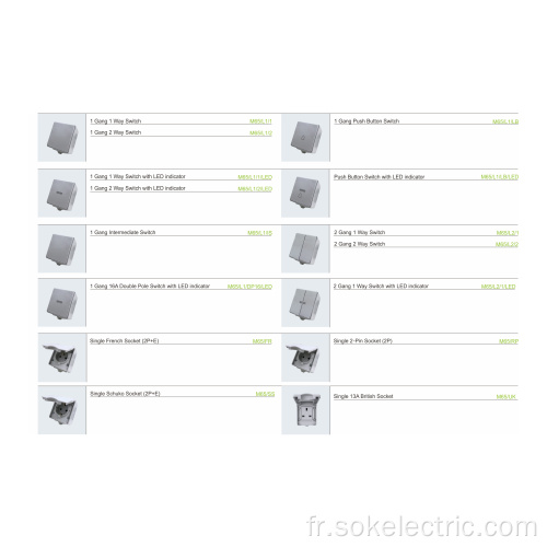 Borne sans vis étanche IP65 de type vertical 2GangSwitch